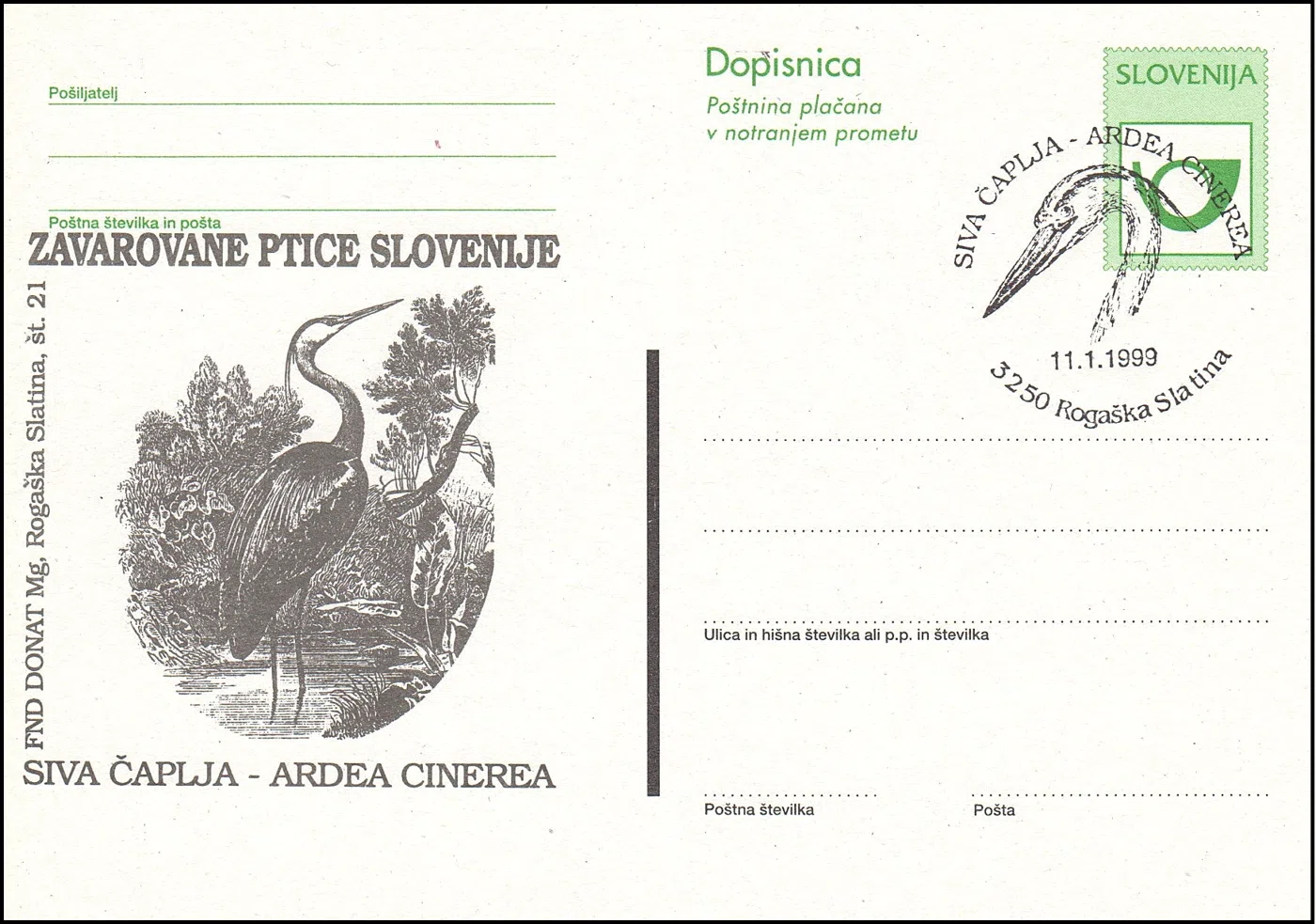 SIVA ČAPLJA - ARDEA CINEREA